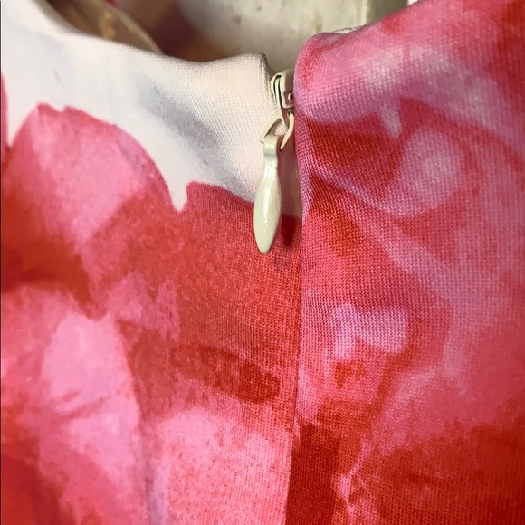 En Focus Studio Dress - Picture 8 of 8